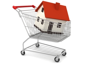 House in Shopping Cart